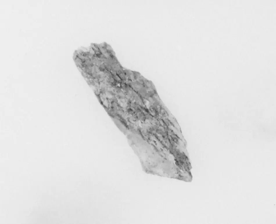 Ivory Fragment by Unknown