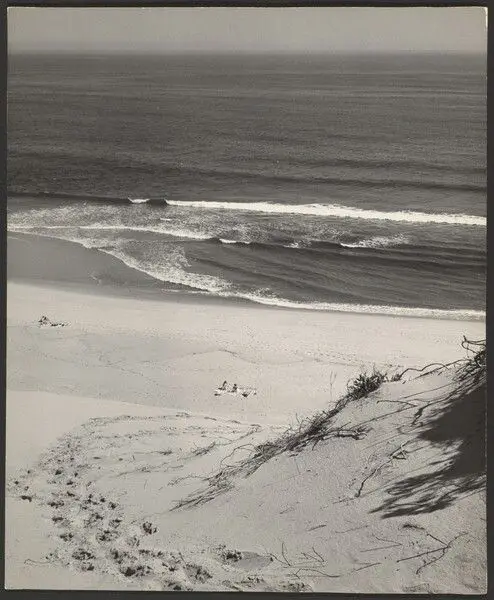 [Beach and sea] by Andreas Feininger