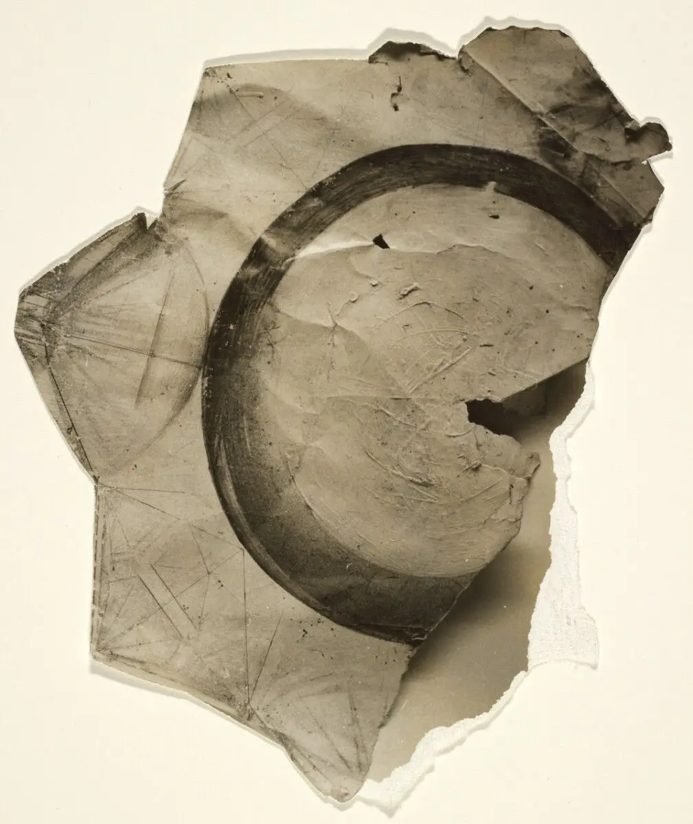 Untitled (White Spica) by Jay DeFeo