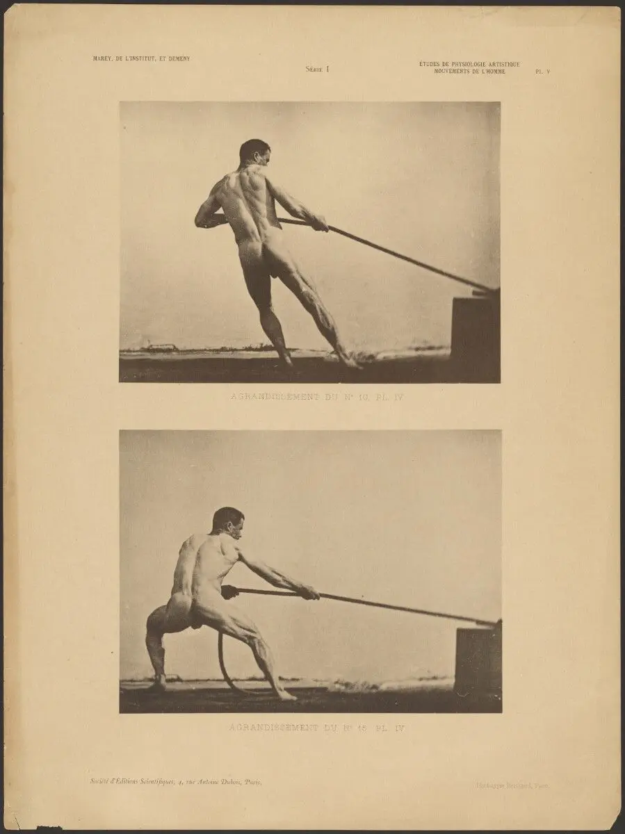 Enlargement 10, plate IV/ Enlargement 14, plate IV by Étienne Jules Marey