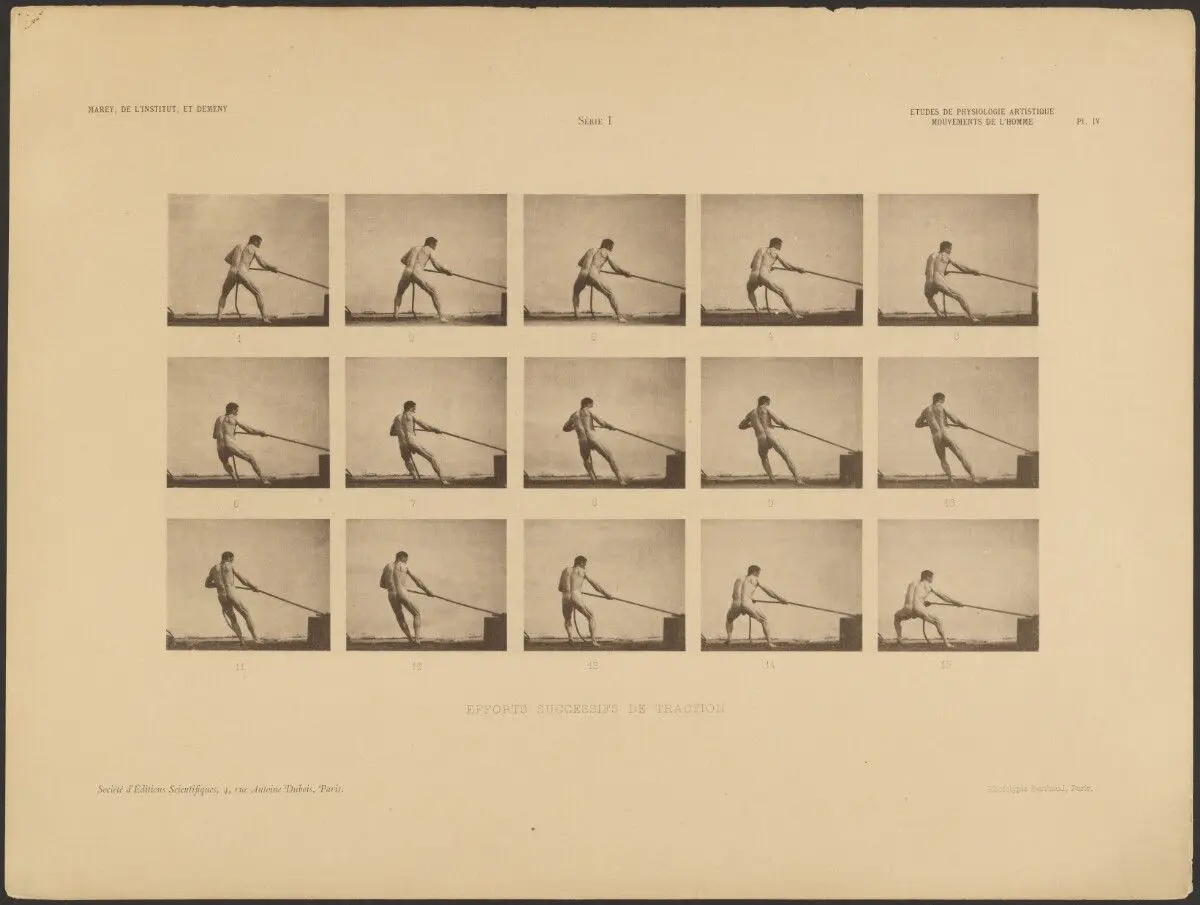 The Successive Strain of Pulling by Étienne Jules Marey