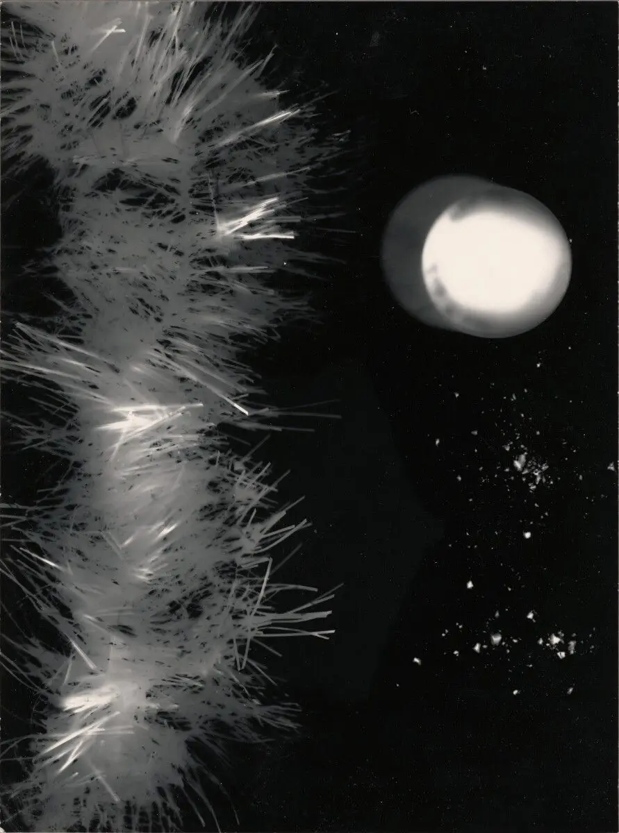 Sans titres by Dora Maar