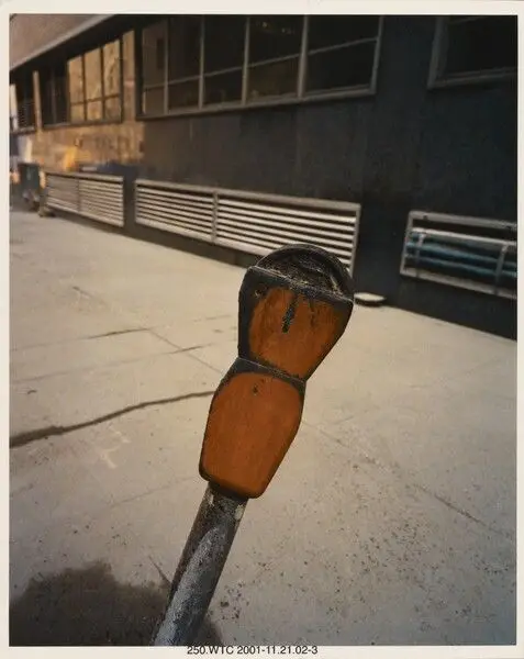 Burned Parking Meter by Joel Meyerowitz