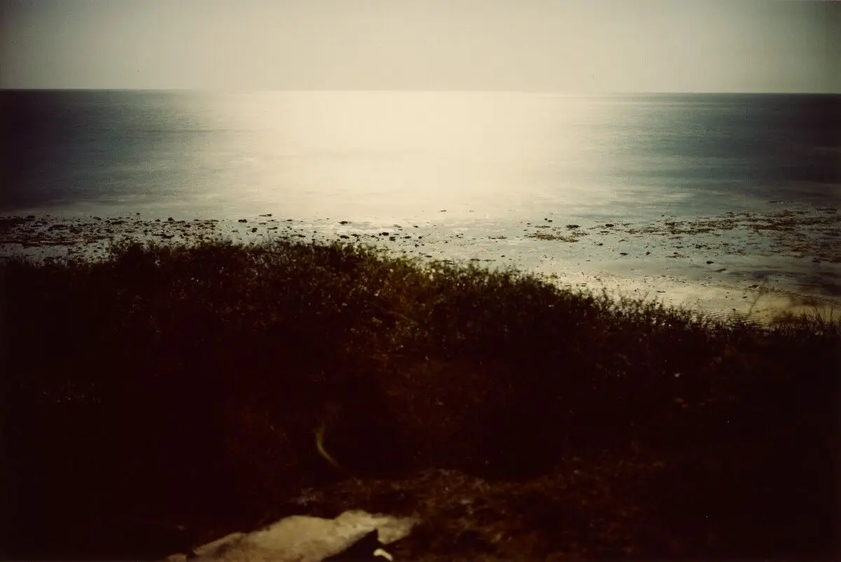 [Seascape] by William Eggleston