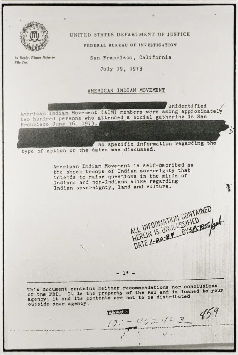 AIM #3 by Dana Claxton