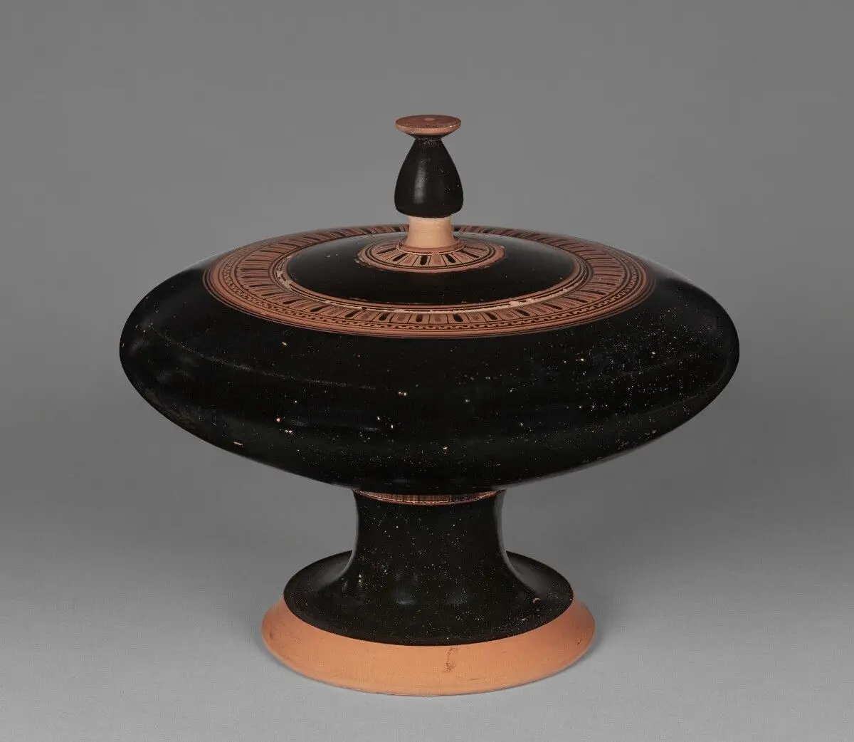 Exaleiptron by Unknown