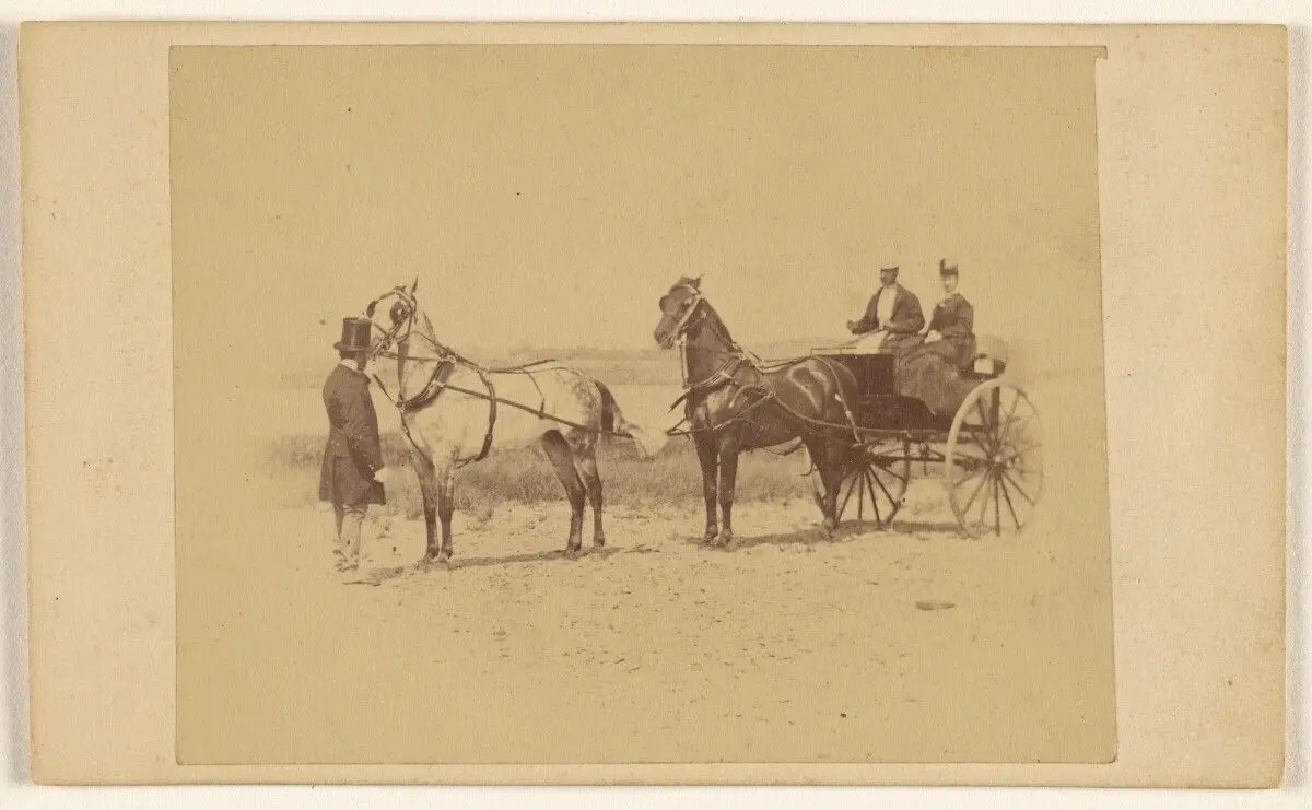 [Unidentified couple in double-horse-drawn carriage, with an unidentified man wearing a top hat holding the front horse] by George P. Critcherson