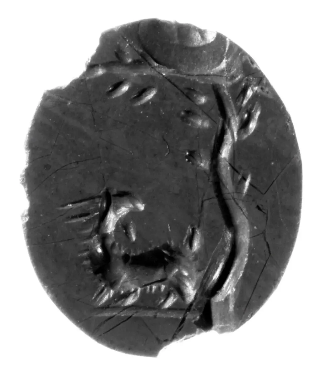 Group of Engraved Gems (8) and a Scarab by Unknown