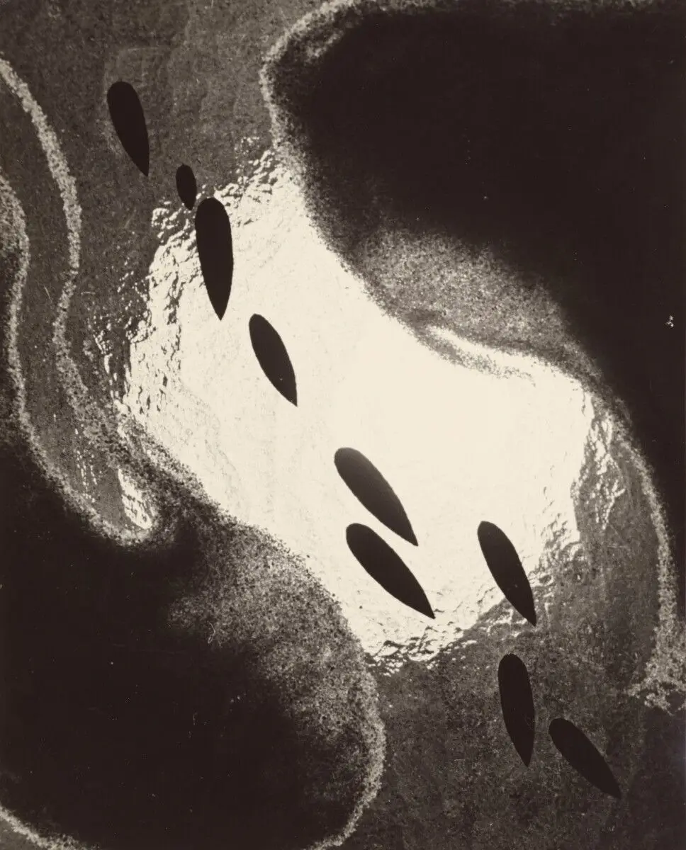 Nocturnal Catch by Heinz Hajek-Halke