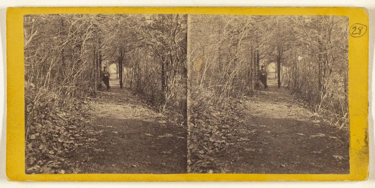 Flirtation Walk. by Mathew B. Brady