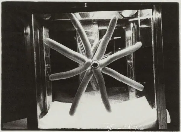 Hot Dogs in the Subway by Bill Arnold