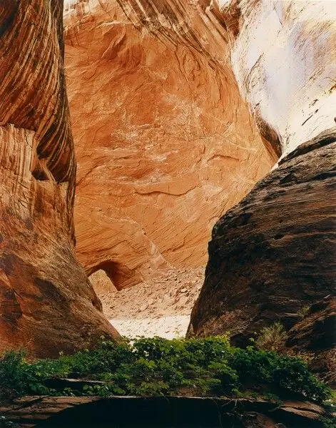 Amphitheater, Davis Gulch, Escalante basin by Eliot Porter