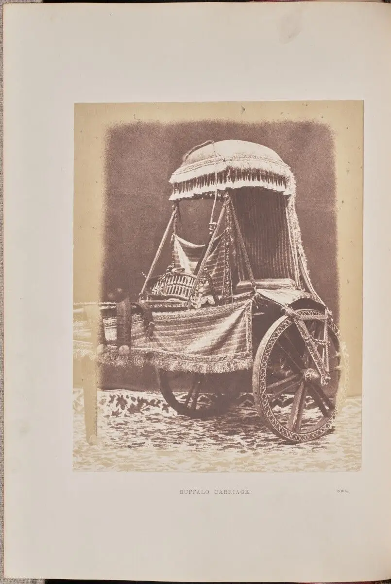 Buffalo Carriage by Hugh Owen