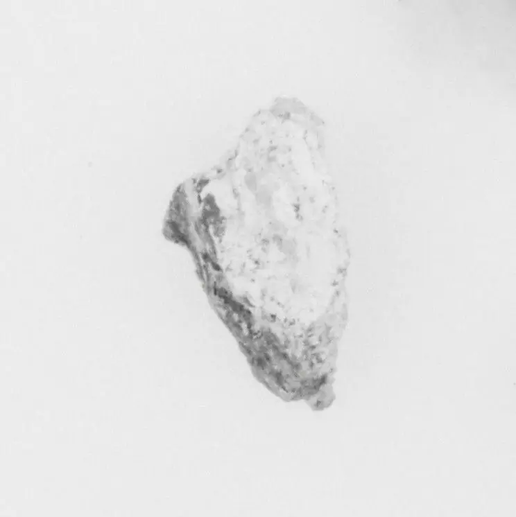 Ivory Fragment by Unknown