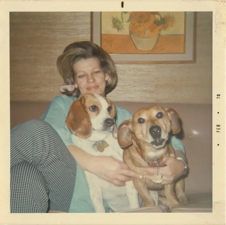 [Woman and two dogs] by Unknown