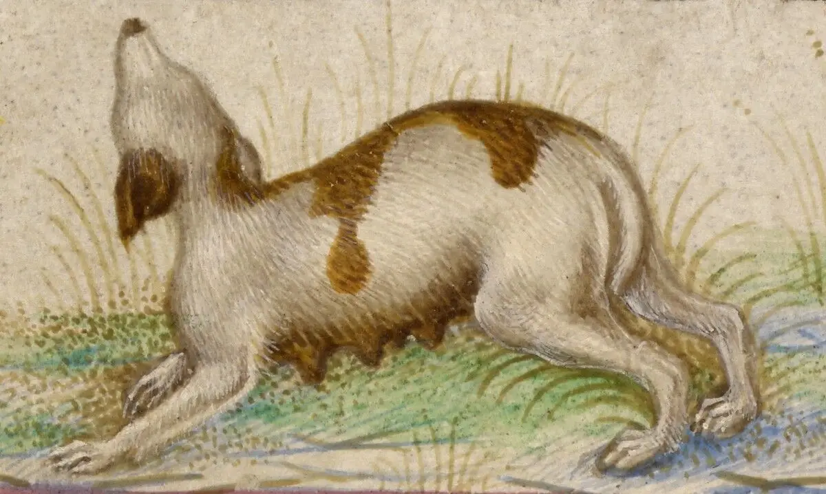 Gualenghi-d'Este Hours by Taddeo Crivelli; Guglielmo Giraldi