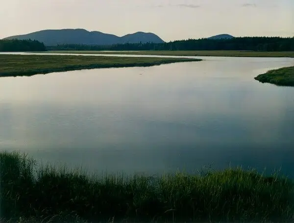 Tidal Marsh, McKinley, Mount Desert Island, Maine by Eliot Porter