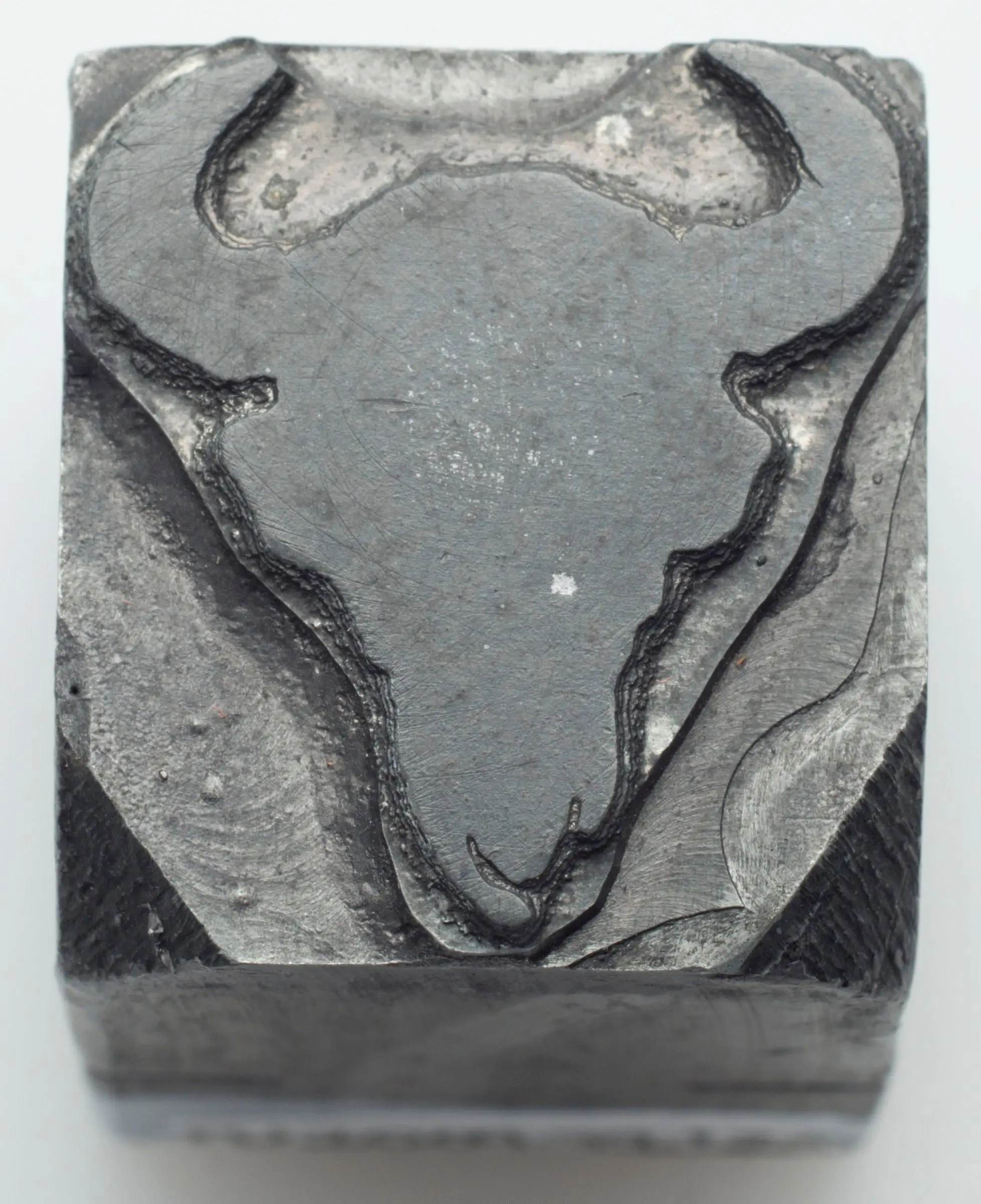 Printing block with a buffalo skull by American