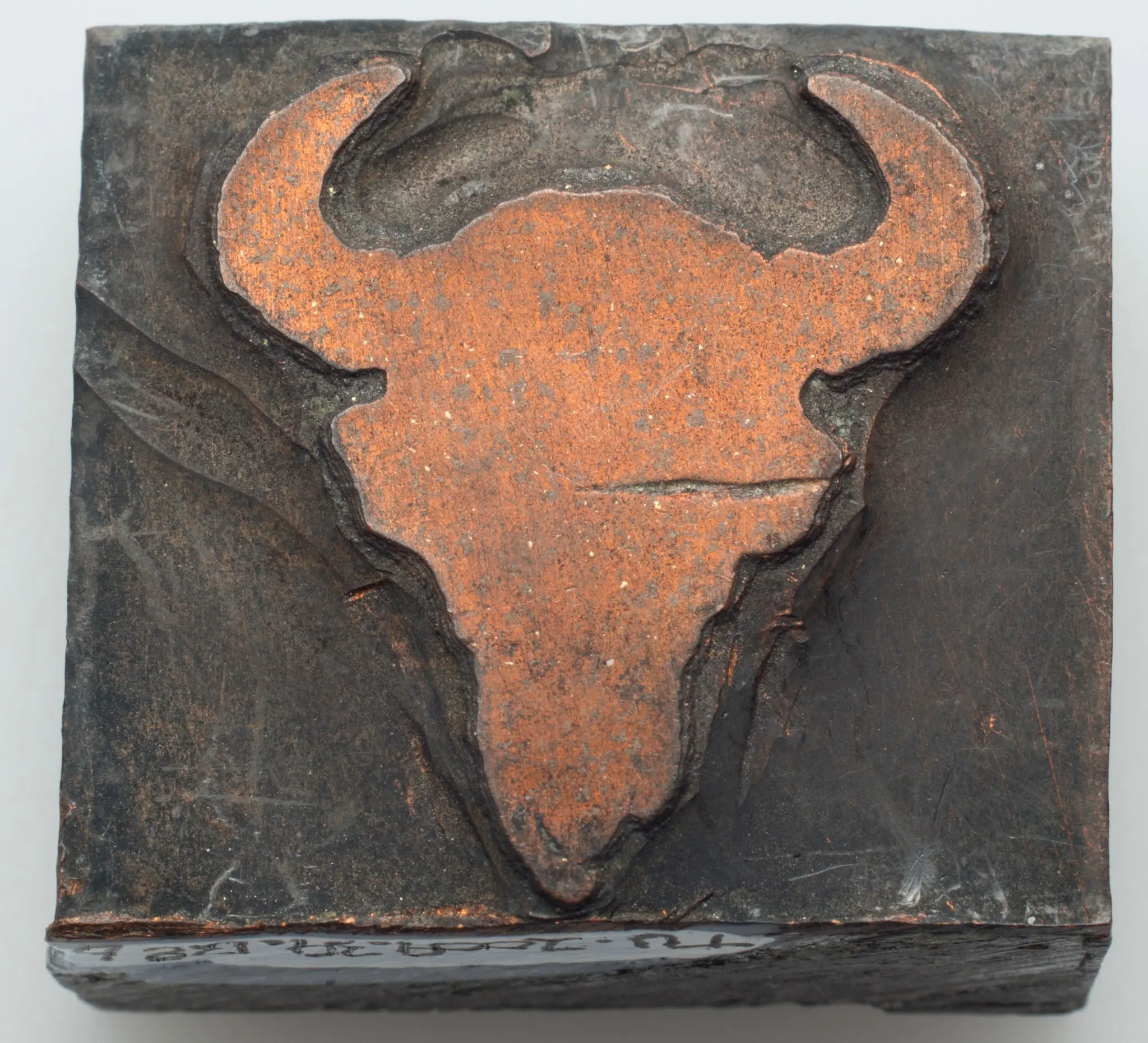 Printing block with a buffalo skull by American