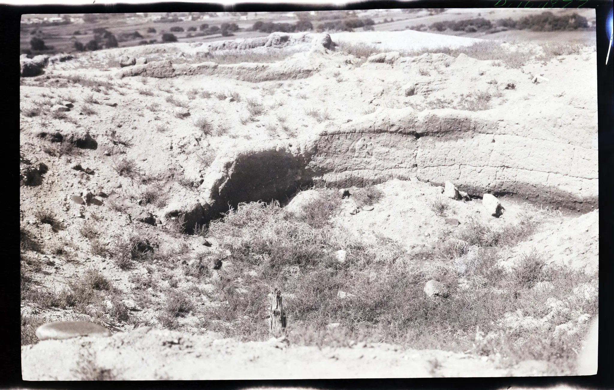 Landscape by Unknown