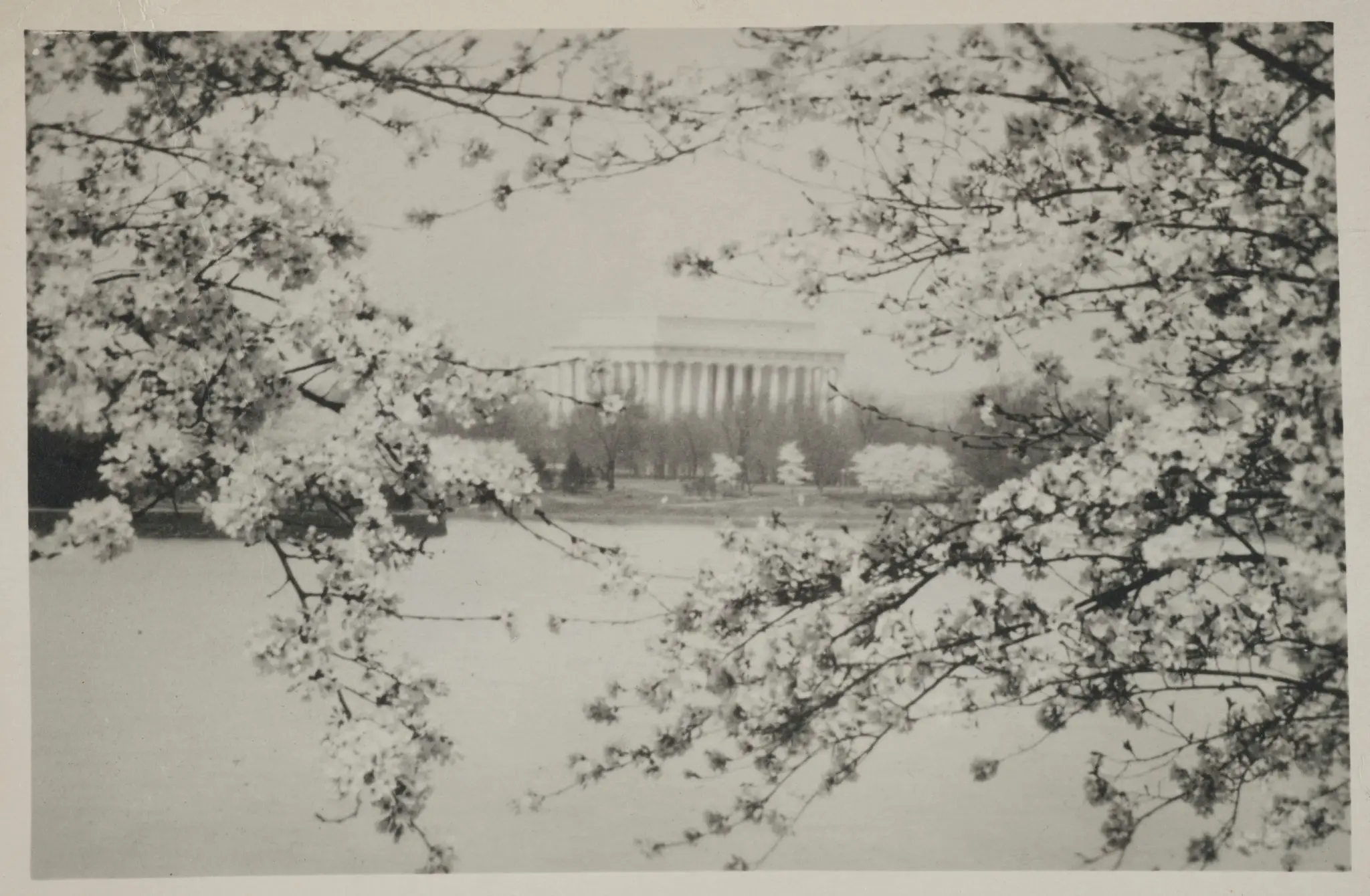 Lincoln Memorial in the Spring by Unknown
