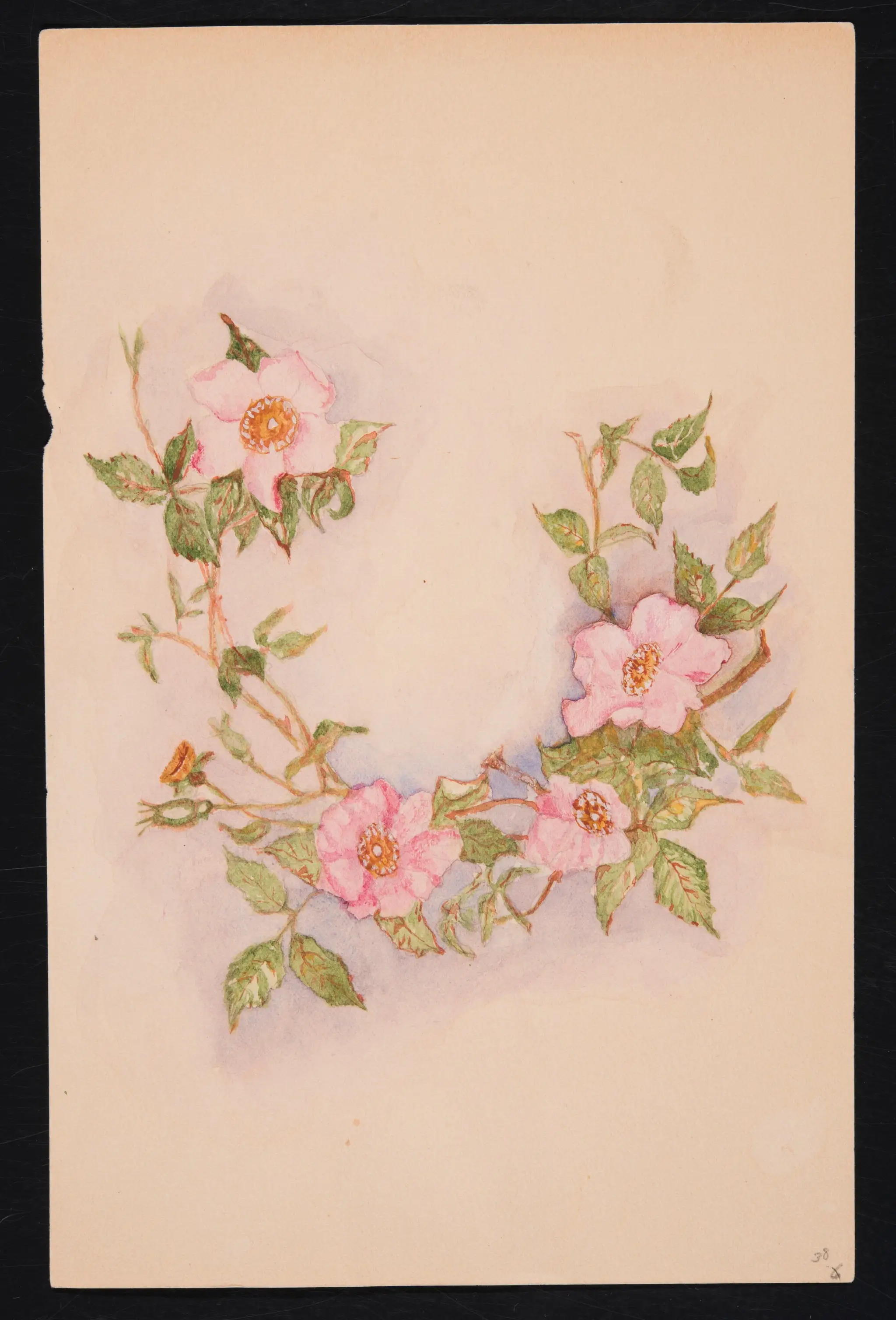 Pink Flowers by Charles Marion Russell