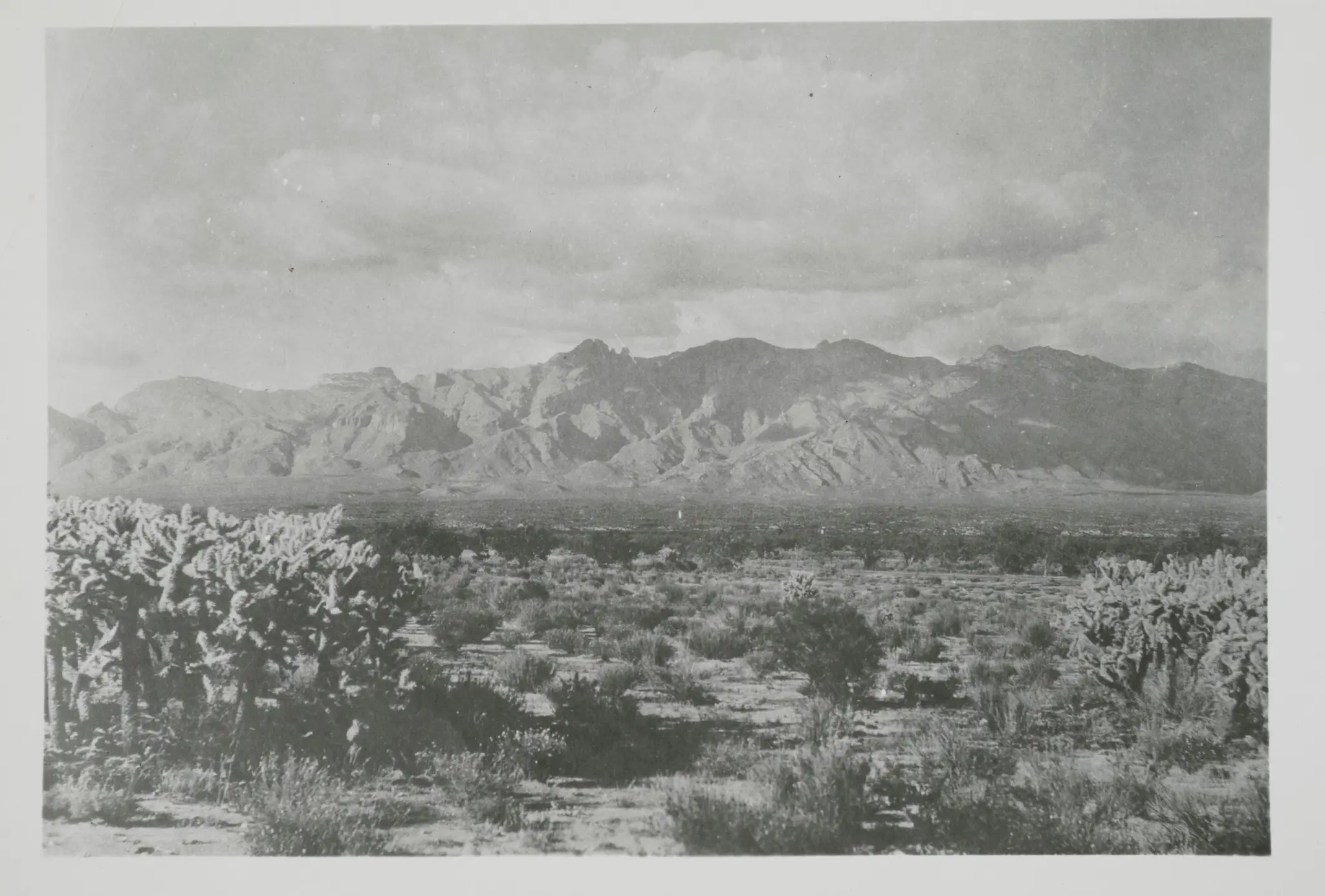 Landscape by Unknown