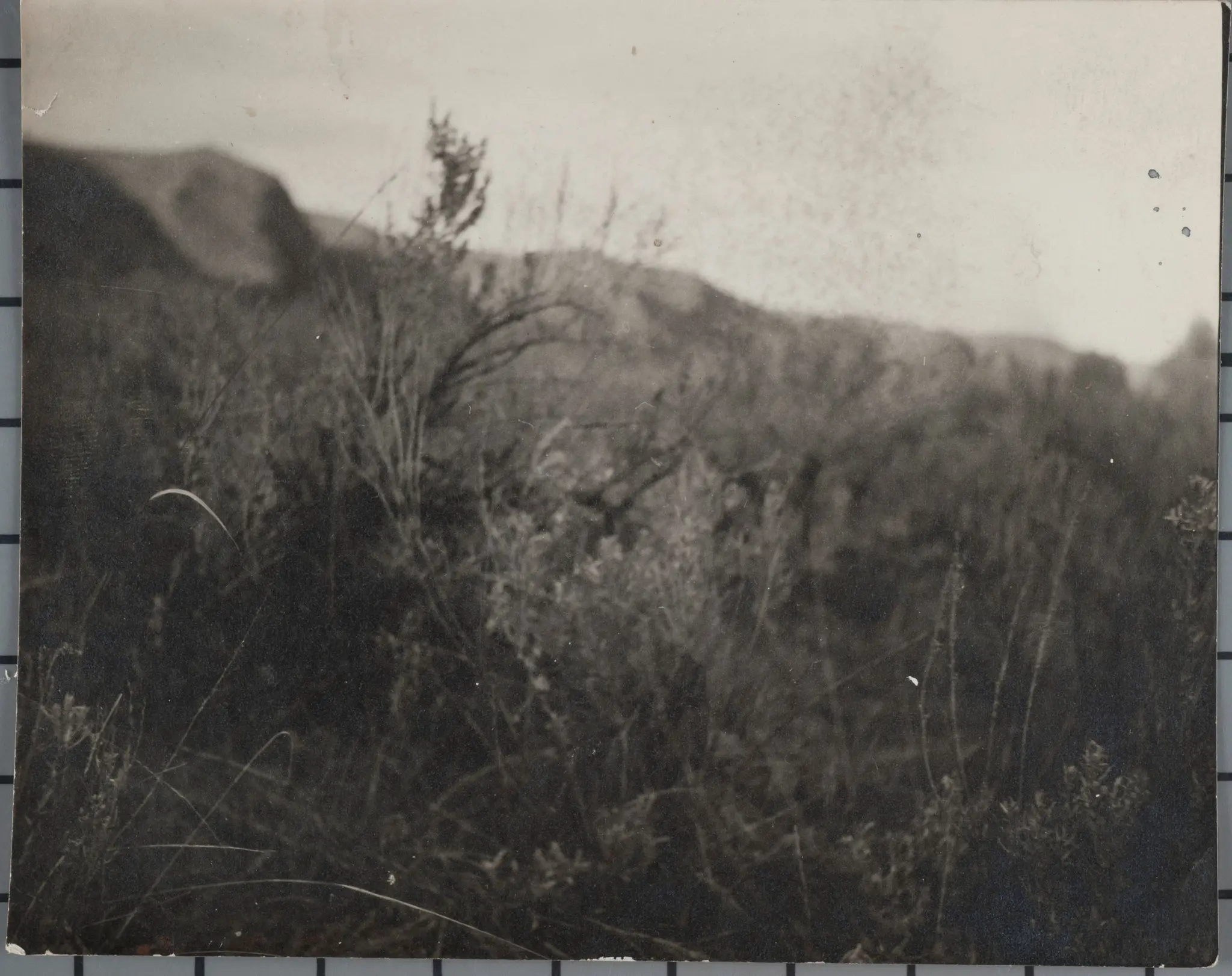 Landscape by Unknown