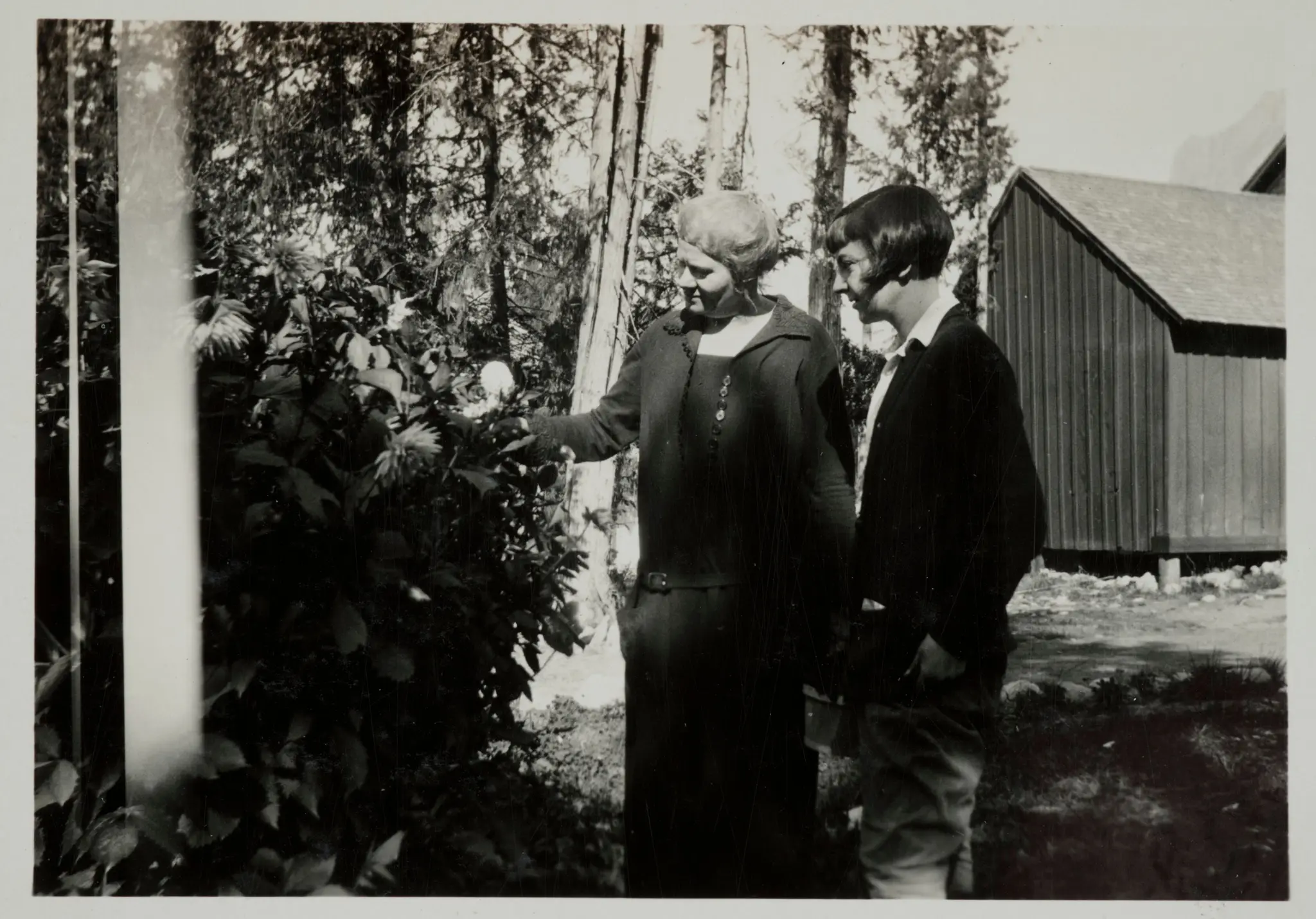 Women Admiring Flowers by Unknown