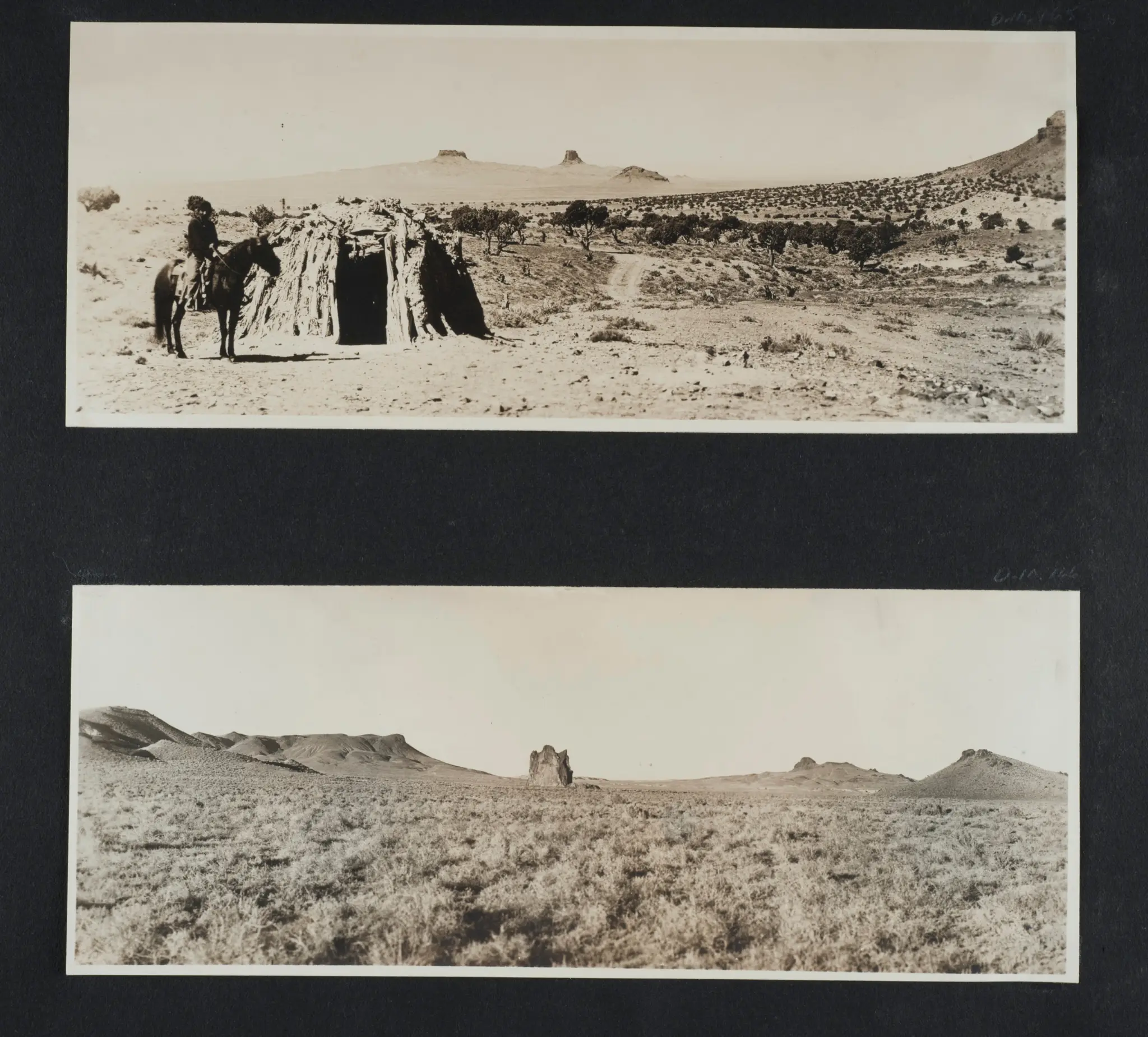 Photograph Album by American