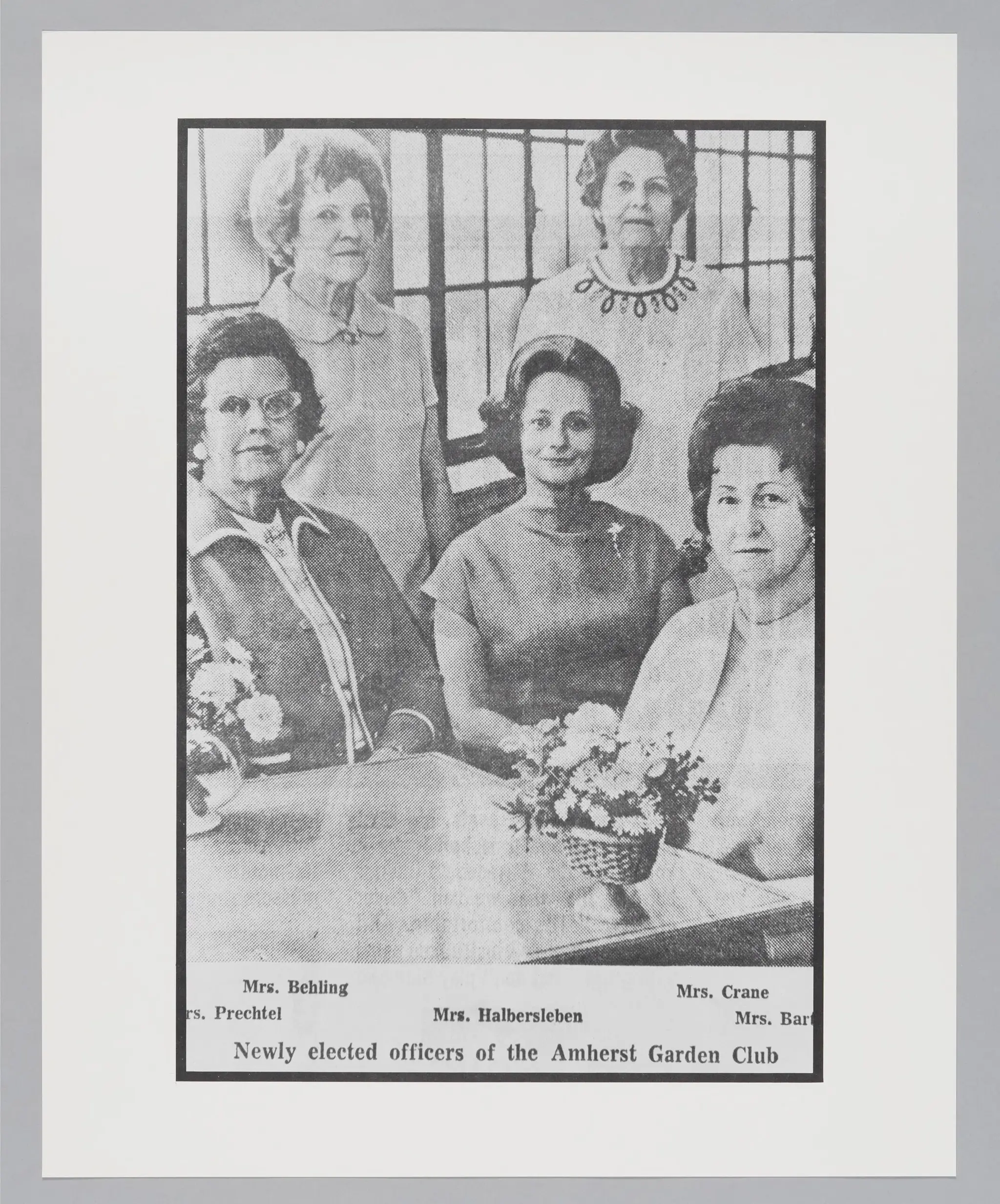Untitled ("Newly Elected Officers of the Amherst Garden Club") by Donald Blumberg