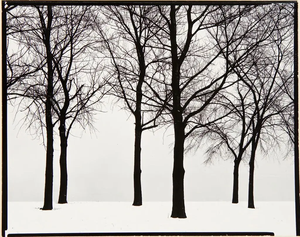 Chicago by Harry Callahan