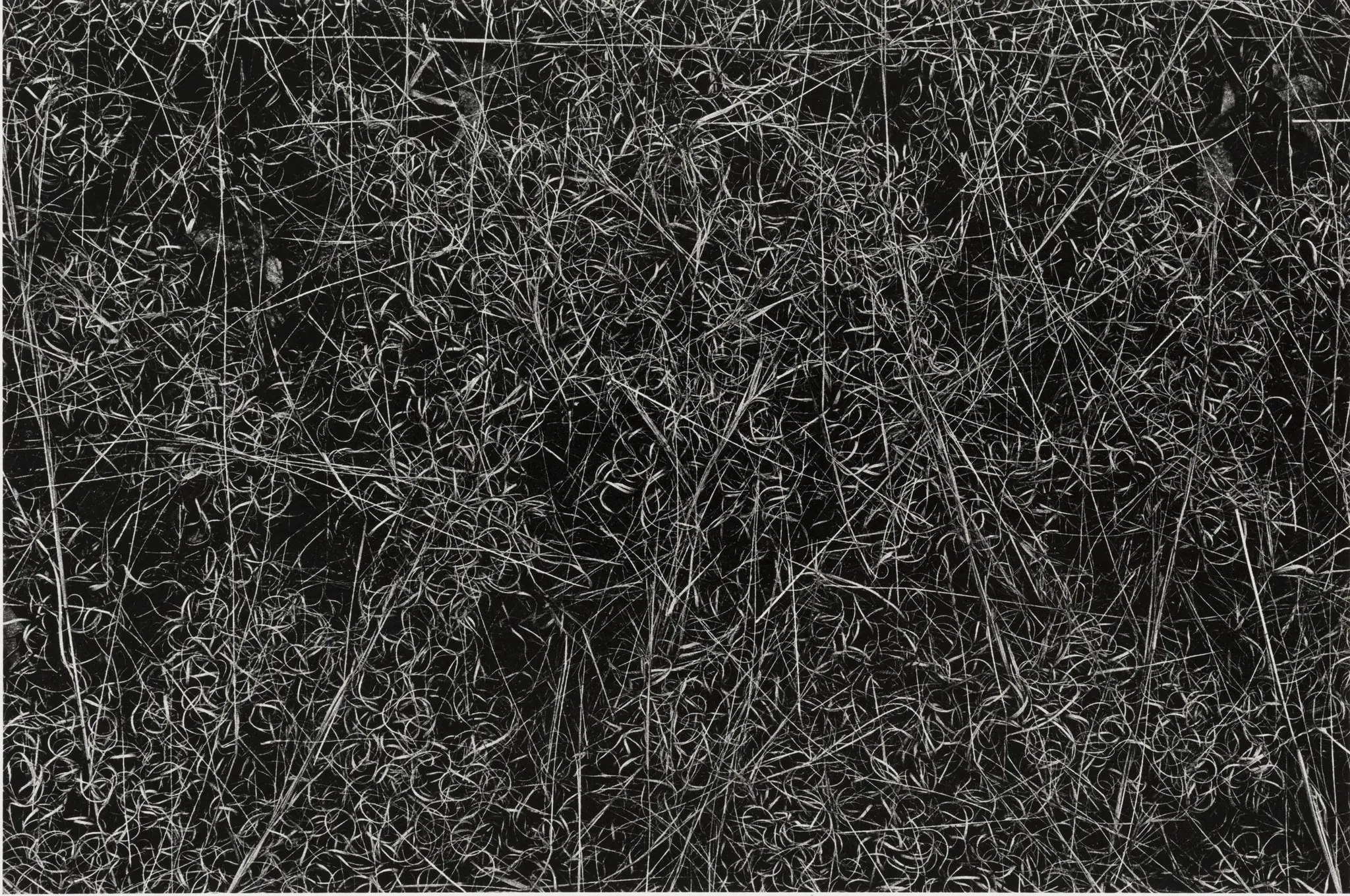 Rhode Island by Harry Callahan