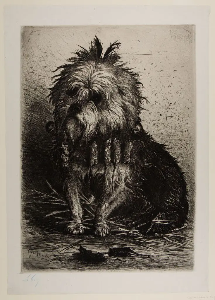 The Rat-Catching Griffon by Ludovic Napoléon Lepic