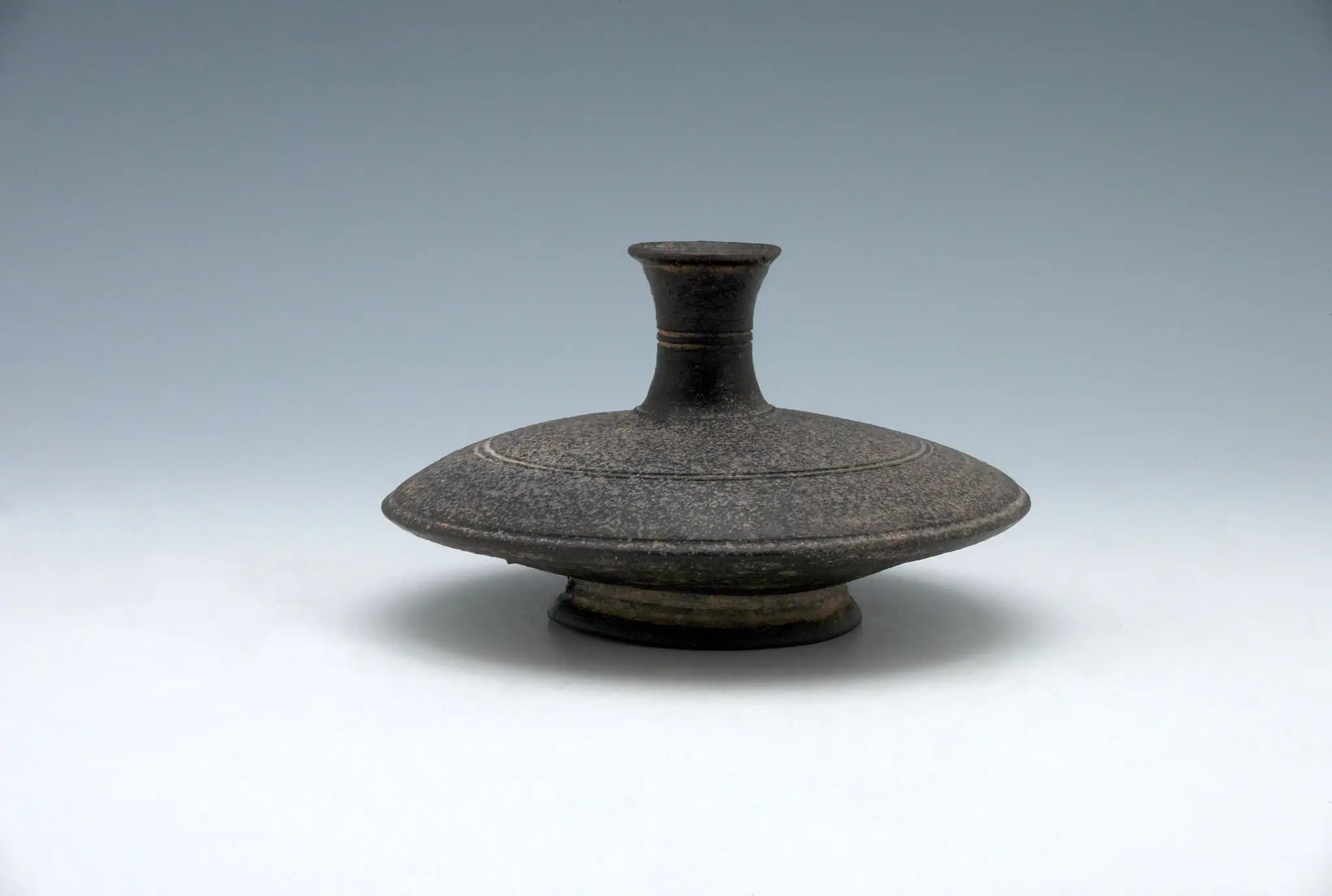 Compressed Circular Bottle with Low Ring Foot and Slightly Flaring Lip by Unknown artist