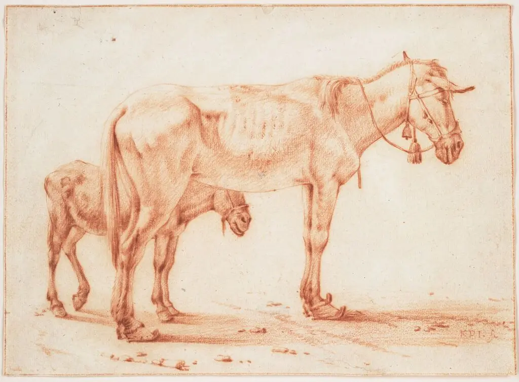 Two Mules by Karel Dujardin
