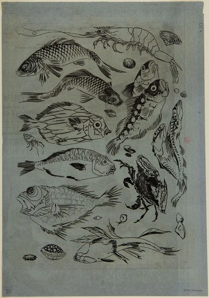 Ornamental Design by Félix Henri Bracquemond