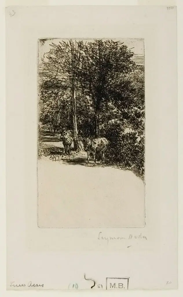 The Two Asses by Francis Seymour Haden