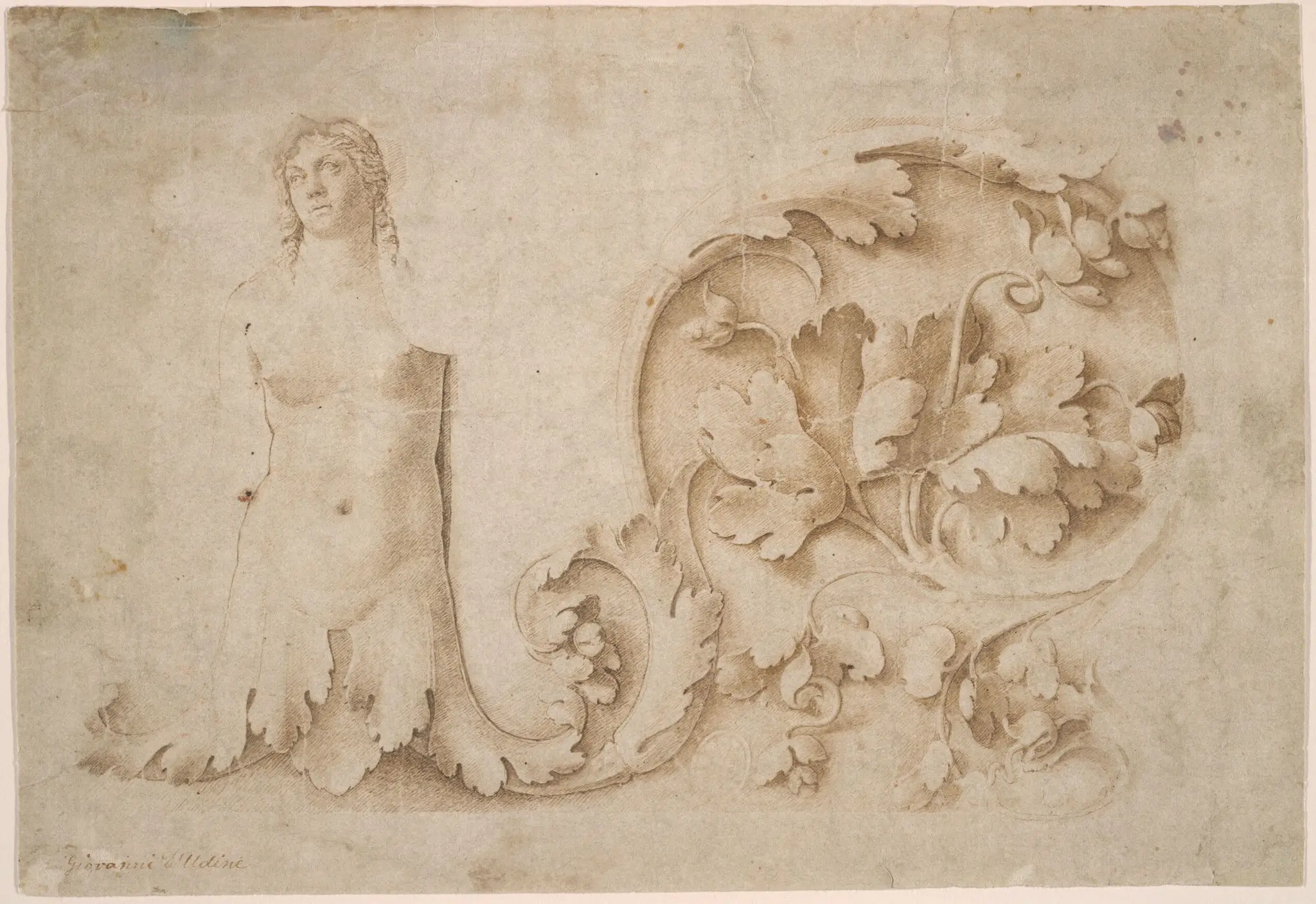 Study for a Frieze with Siren and Acanthus by Tullio Lombardo