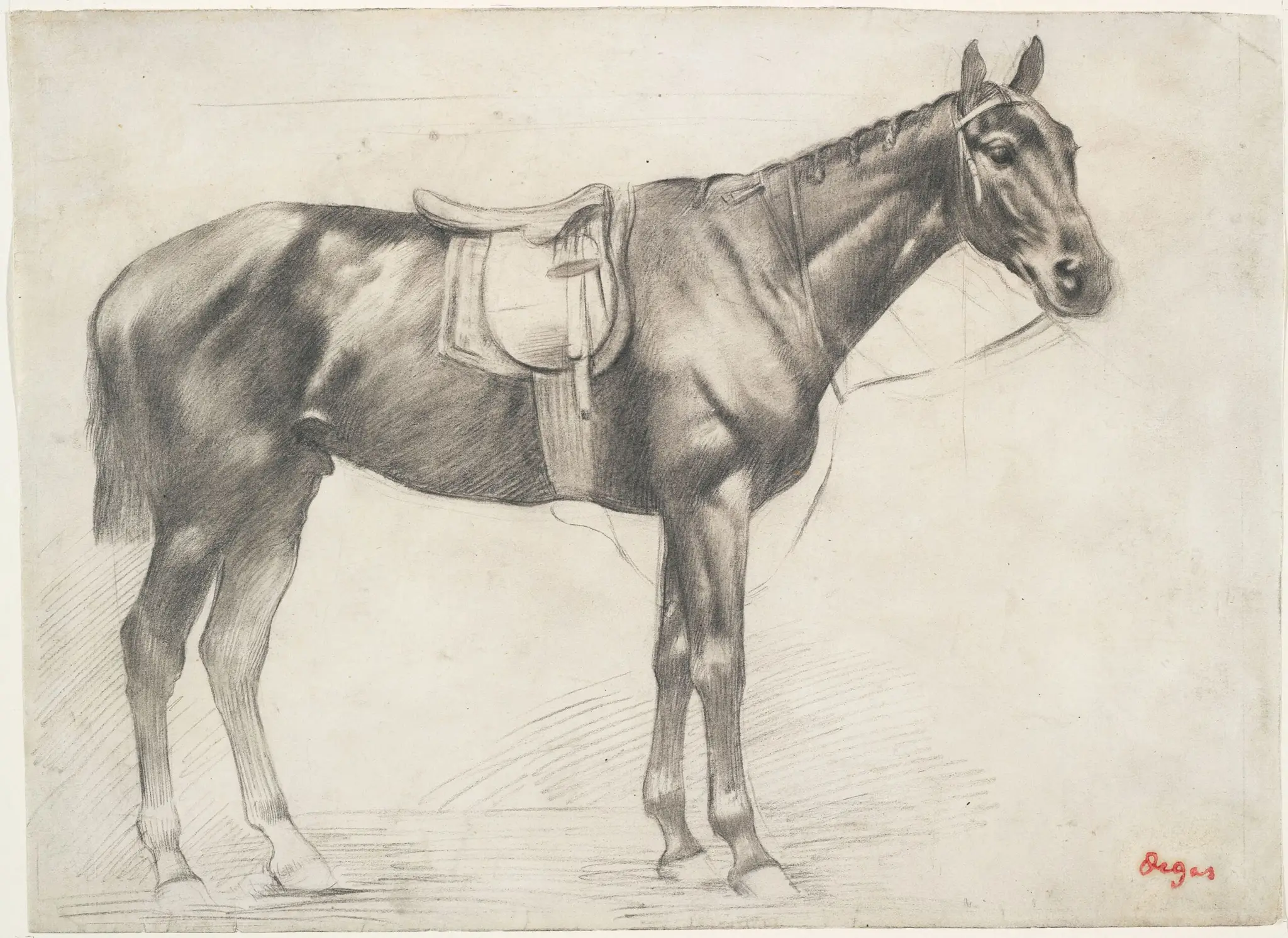 Horse with Saddle and Bridle by Hilaire-Germain-Edgar Degas