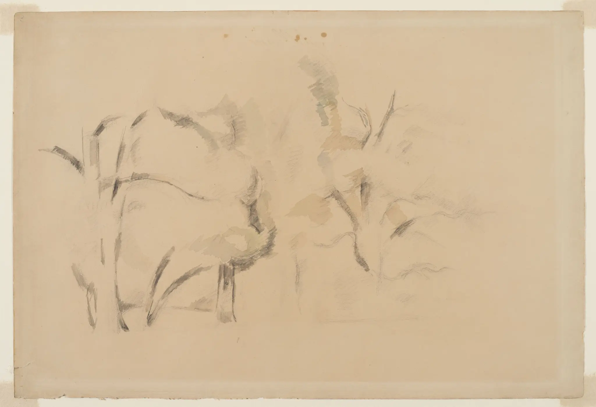 Sketch of Trees; verso: Undergrowth by Paul Cézanne