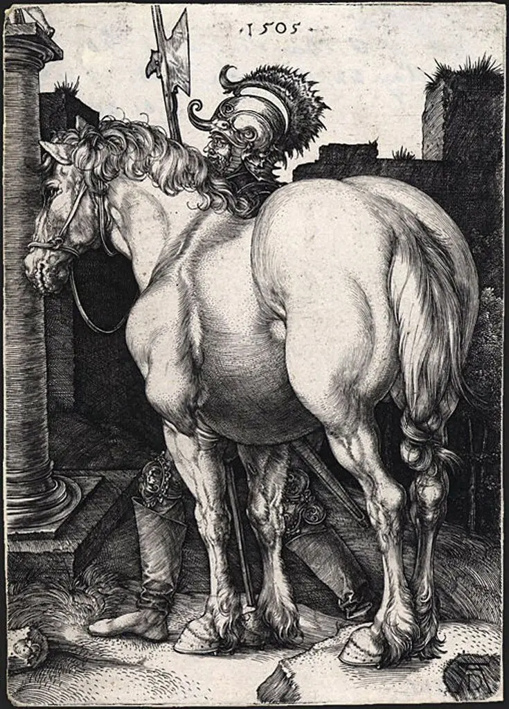 The Large Horse by Albrecht Dürer