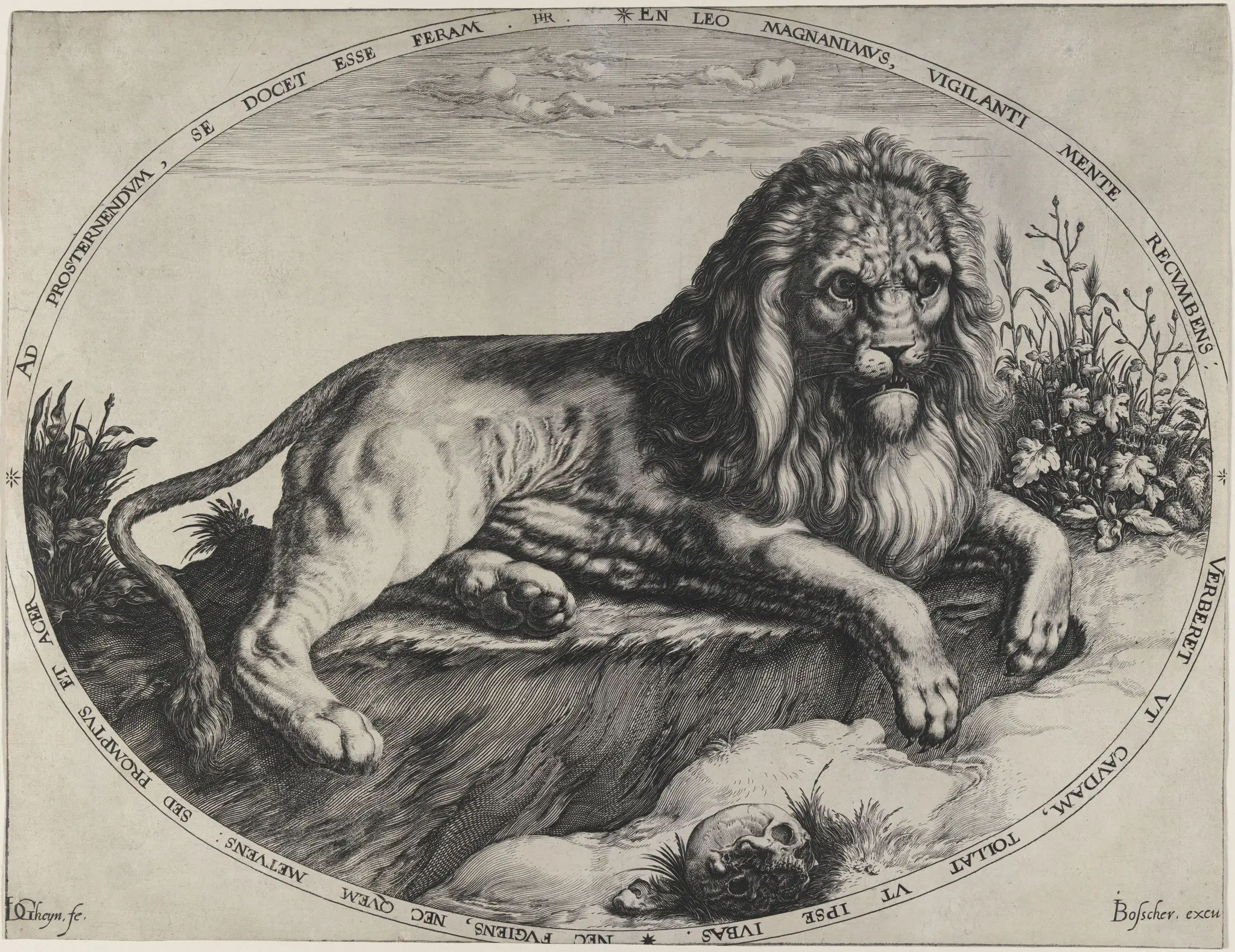 Great Lion by Jacques de Gheyn II