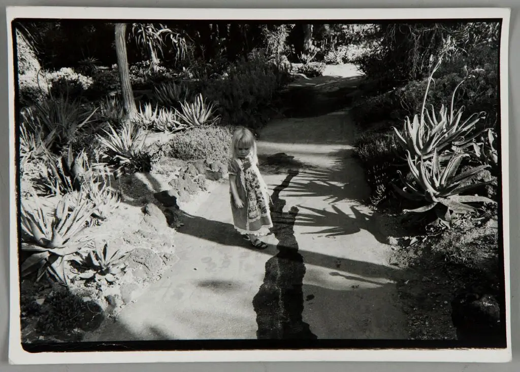 Untitled (Huntington Library Gardens and Monet) by Bill Dane