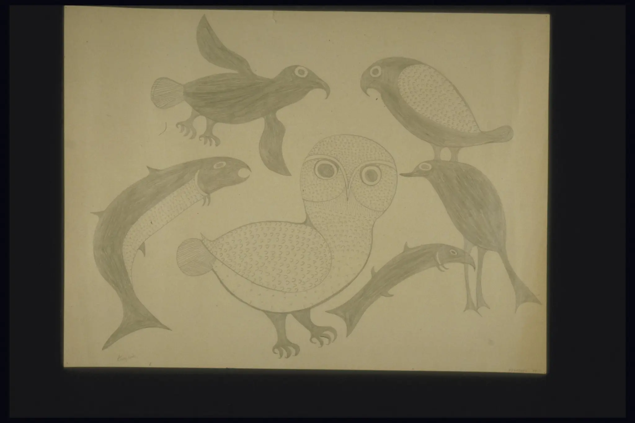 drawing, Owl, Fish and Birds by Ashevak, Kenojuak