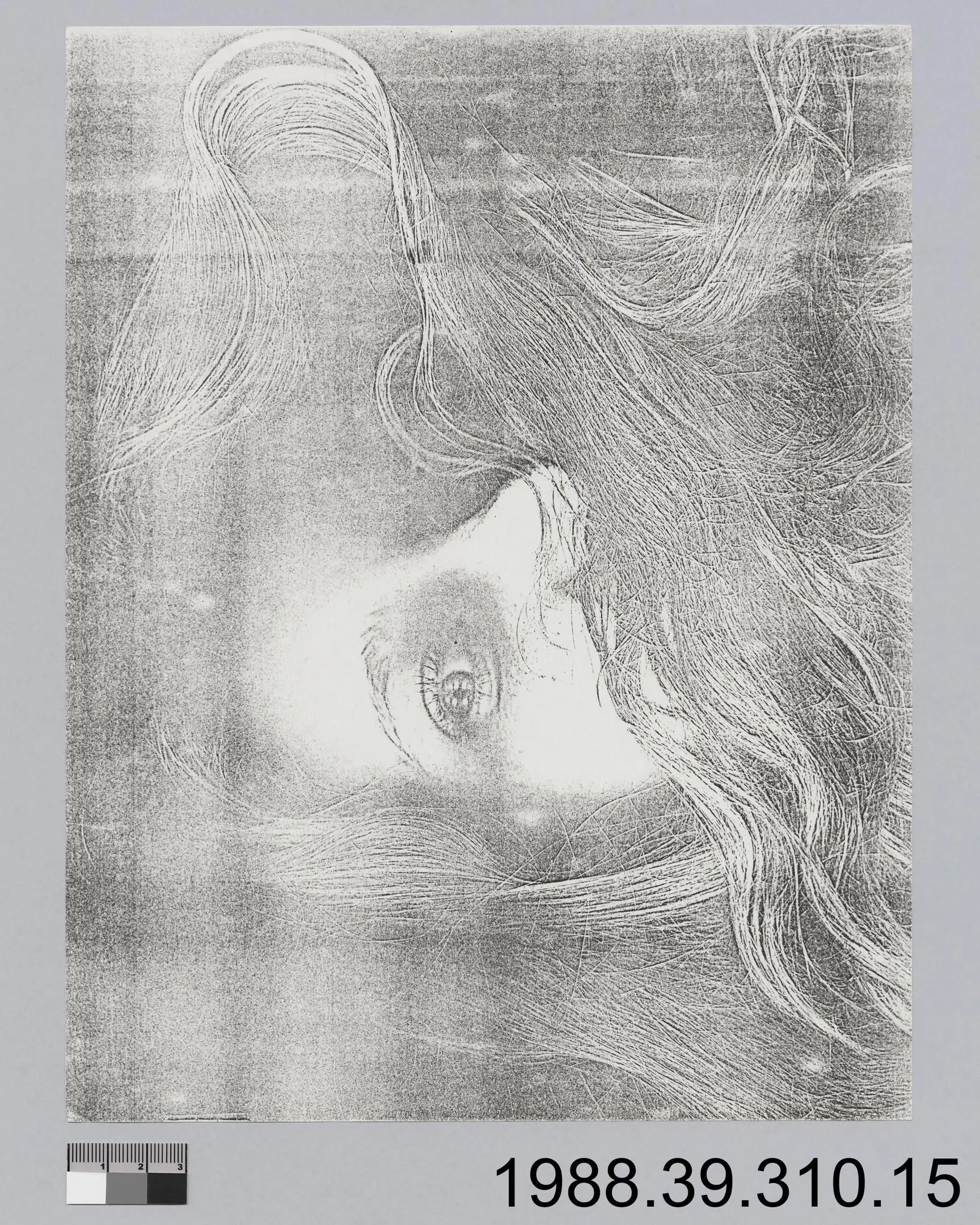 mail art, Self portrait by Ackerman, Ed