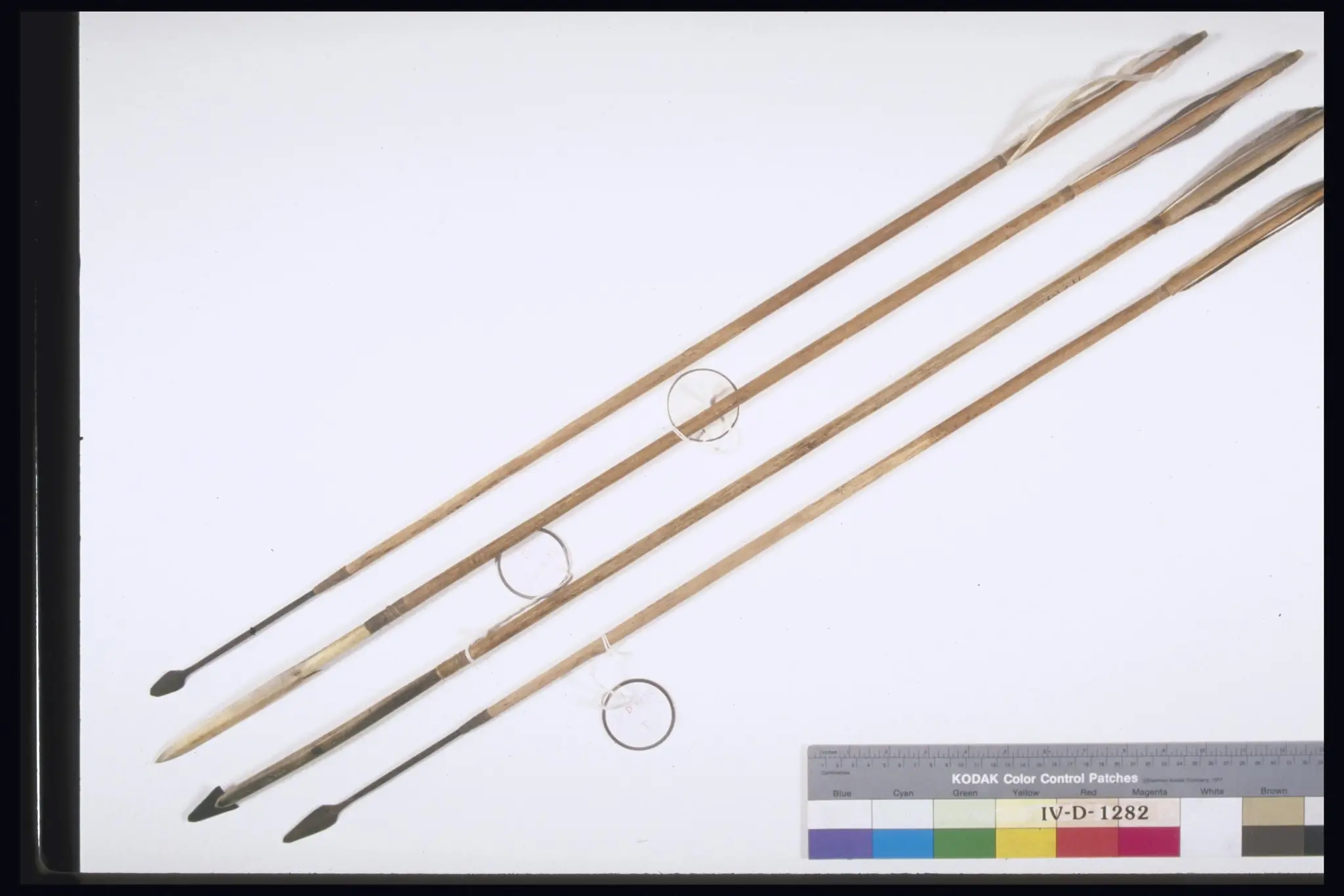 arrow by Unknown artist