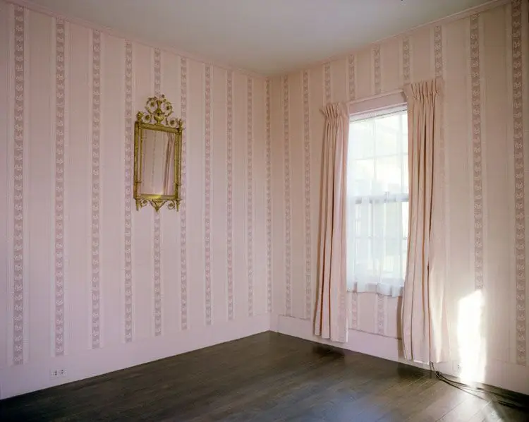 Aunt Anna’s House—Stripped: The Pink Study by Shellburne Thurber
