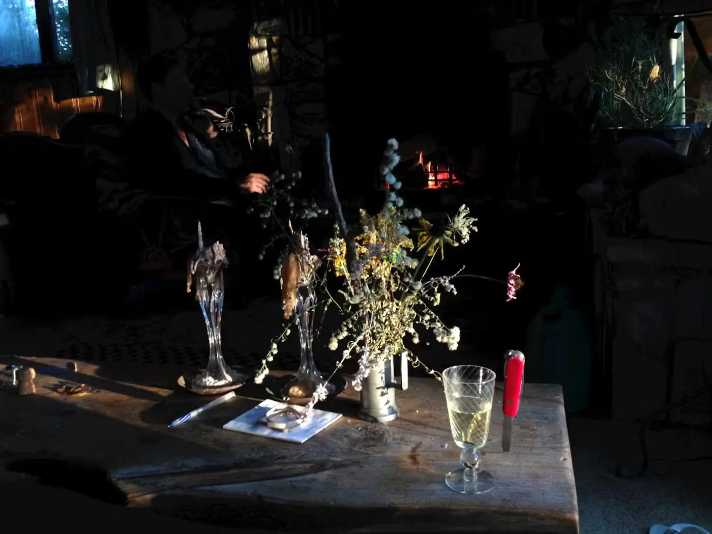 Fire Flowers by Michel Auder