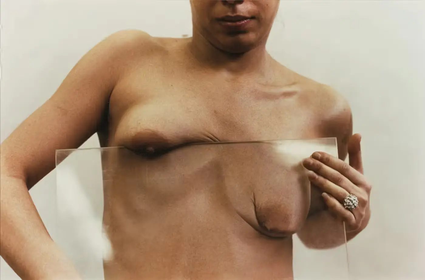 Untitled (Glass on Body Imprints) by Ana Mendieta